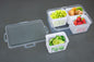 Fridge Storage Container | (4-Compartment)