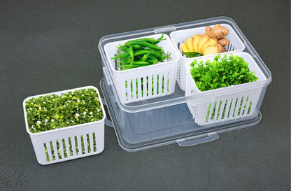 Fridge Storage Container | (4-Compartment)